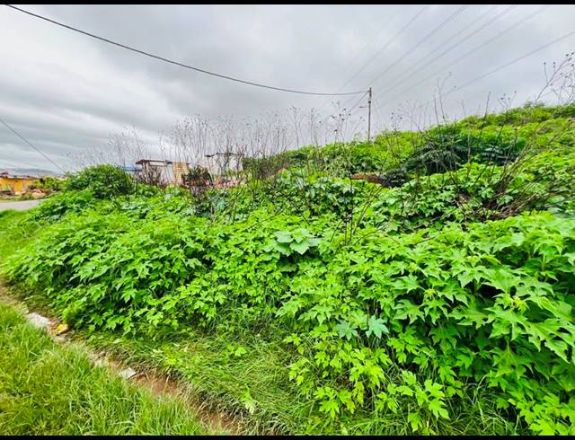 LAND FOR SALE IN KWAMASHU